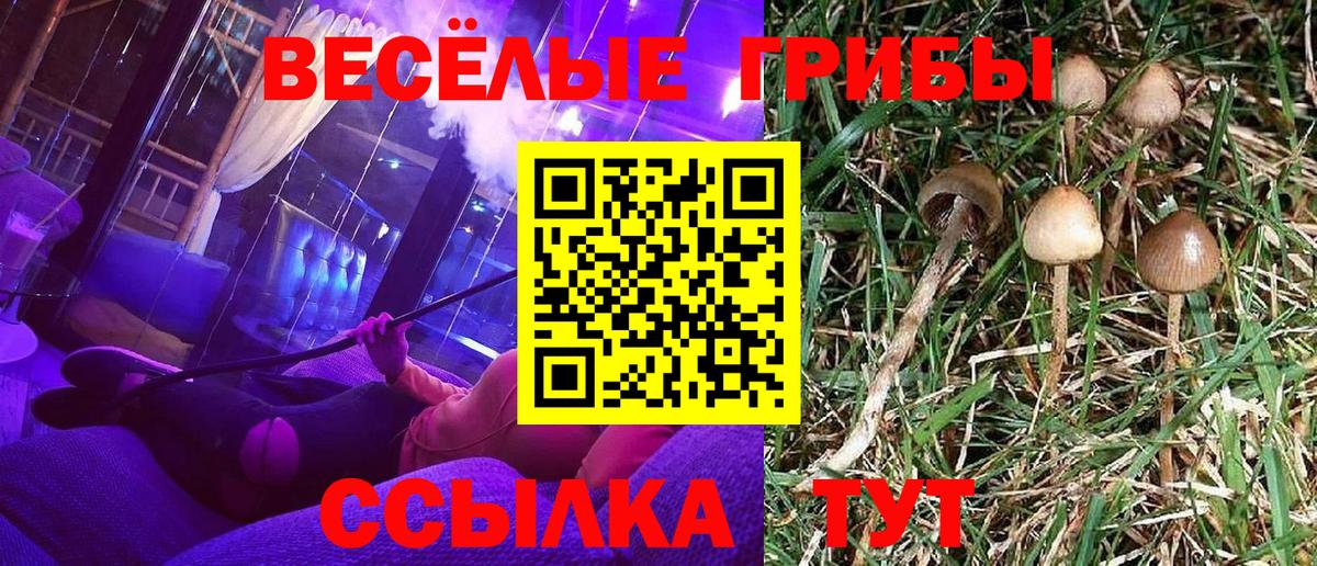 Псилоцибиновые грибы Cubensis Лянтор